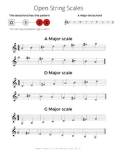 Load image into Gallery viewer, All 1 Octave Scales for Violinists (Digital Download)
