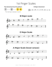 Load image into Gallery viewer, All 1 Octave Scales for Violinists (Digital Download)
