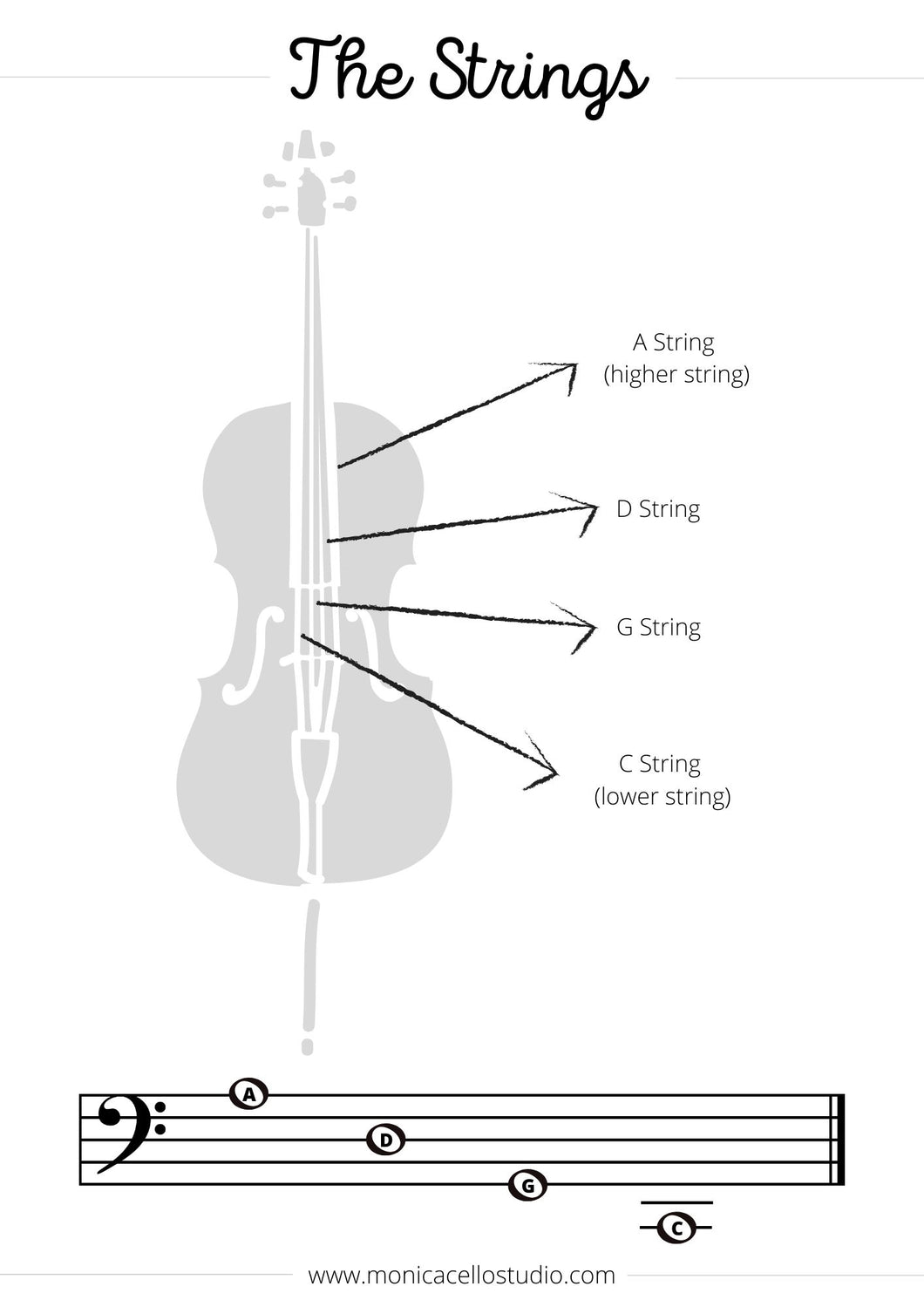 Cello Strings